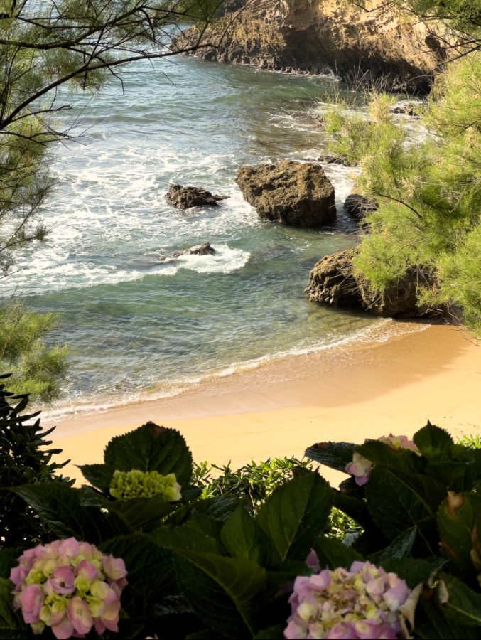 Hard coastal sun, colour everywhere — untouched RAW