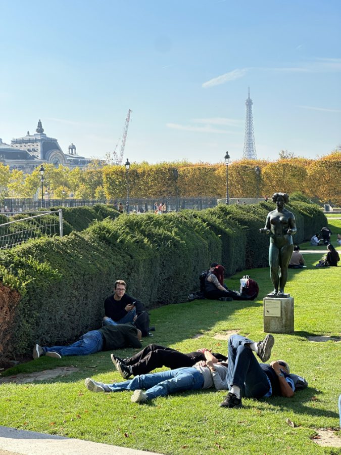 Open park, sun and long shadows — untouched RAW