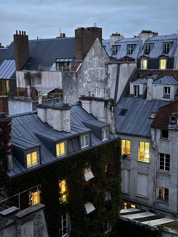 Blue hour over the rooftops — untouched RAW
